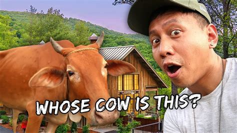 Visiting Our Future Home & Farm (UPDATE) .